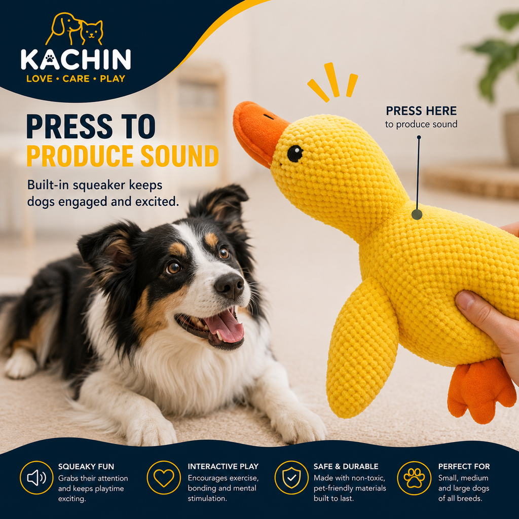 KACHIN squeaky duck dog toy shown from multiple angles