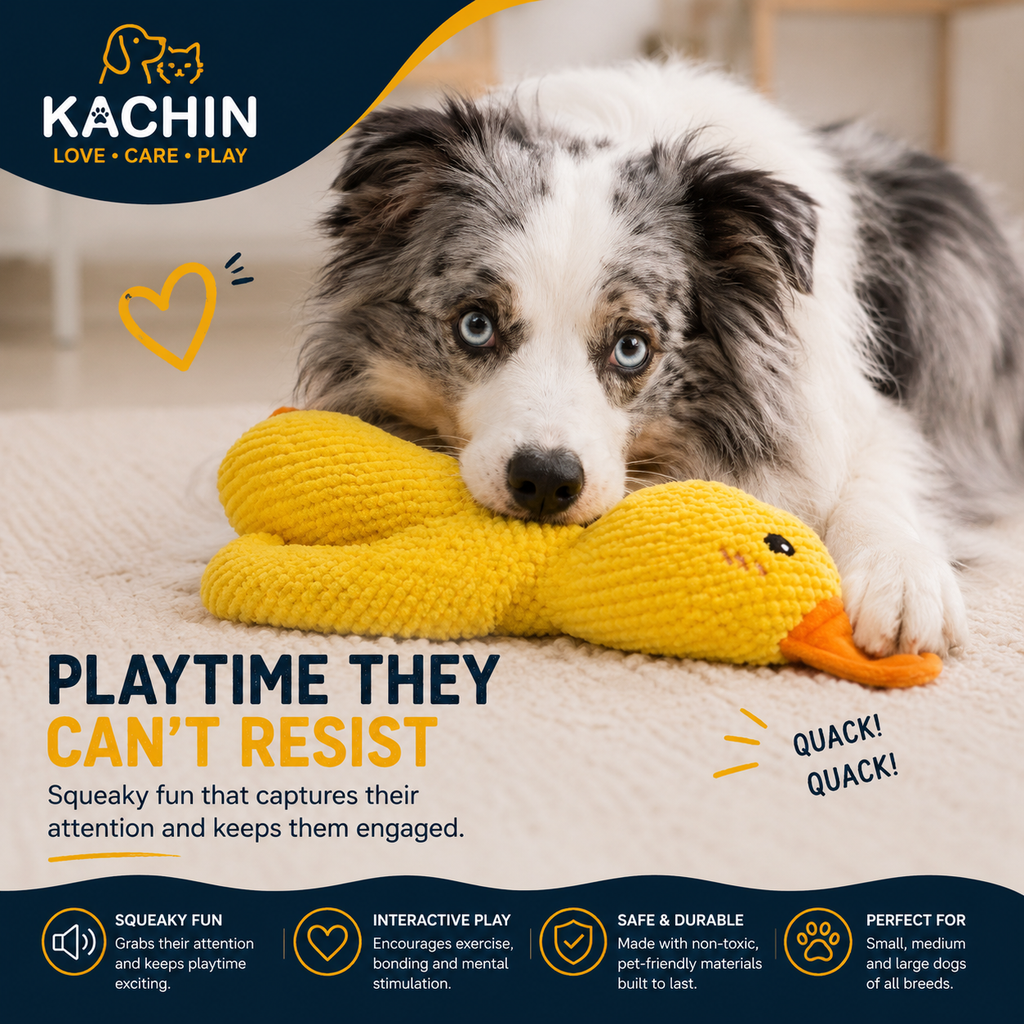 Dog chewing and biting KACHIN squeaky duck plush toy