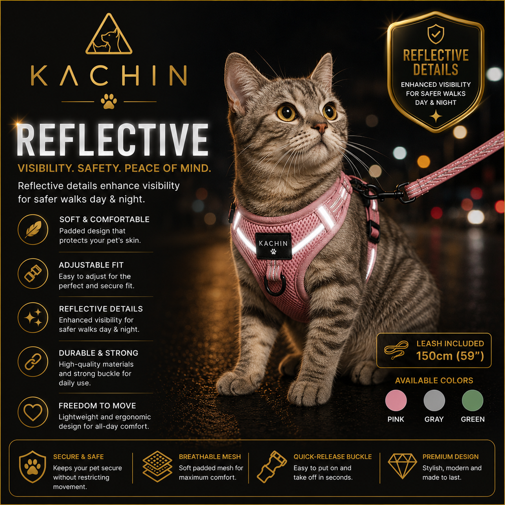 KACHIN Comfort Fit Harness & Leash Set